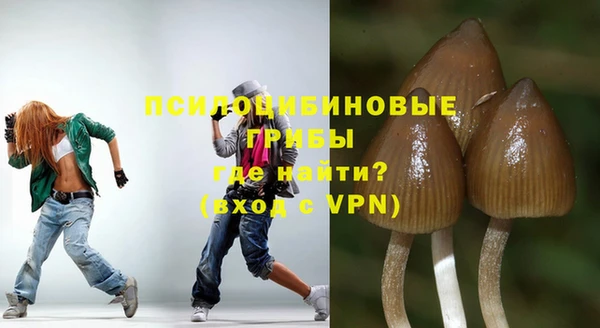 не бодяженный Арсеньев