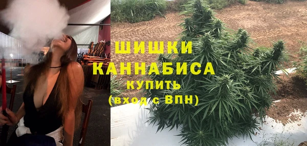 не бодяженный Арсеньев
