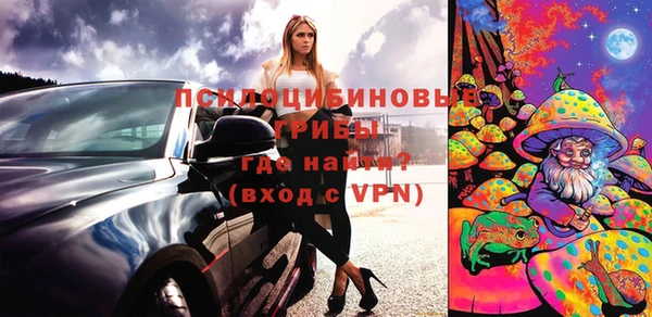 не бодяженный Арсеньев